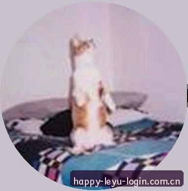 陈涛
